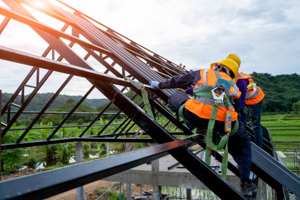 Best Roof Gutter Cleaning  in Tunnel Hill, GA
